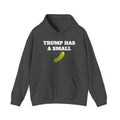 Trump Has A Small... Hoodie